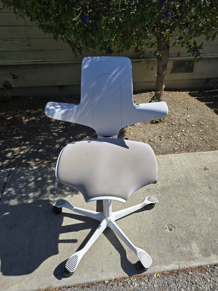 HÄG Ergonomic Office Chair