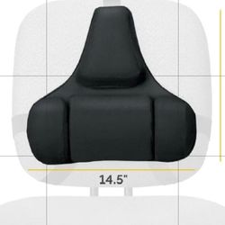 Back Support
