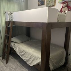 Max & Lily Twin Over Twin Bunkbeds (need Them Gone)