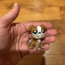 Littlest Pet Shop, Boxer, Dog Shipping Available