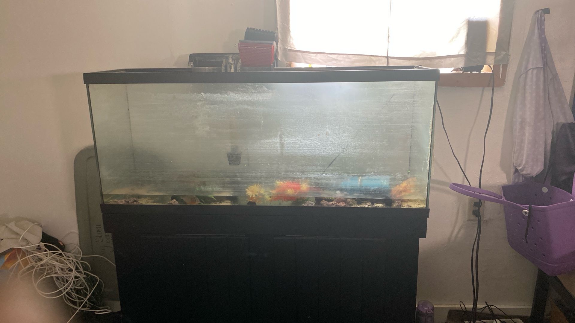 50-75 Gallon Aquarium With Stand