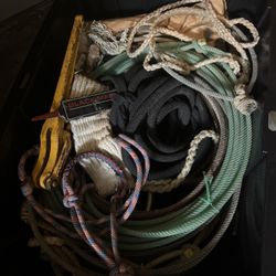 Big Tub Full Of Equine Horse Tack. Etc. Ropes Halters Bits. 