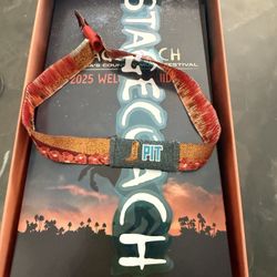 1 Pit Pass $1300