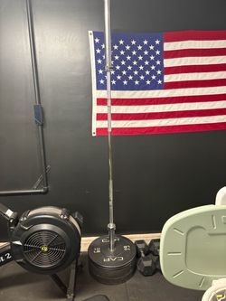 Barbell + Bumper plates