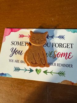 You are braver then you think hug cat