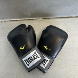 Everlast Ever Fresh 16oz Boxing Gloves 