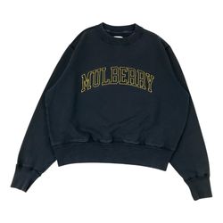 Aimé Leon Dore Mulberry Crewneck Mens Medium M Blue Sweatshirt Pullover ALD Y2K