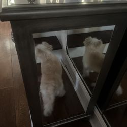 Accent Cabinet With2 Doors 