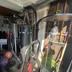 UFC  Heavy Bag, Everlast Frame & Century Speed Bag