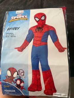 Halloween Costume
