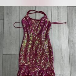 Hot Pink Dress (L)