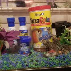 Fish Aquarium. Includes 2 filters. One is a back up. Fish food and accessories. Tank has 5 different light settings as well.