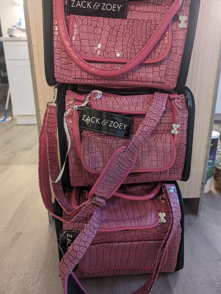Pet Carrier For New Puppy Or Kitten