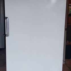 Large Freezer Delivered 