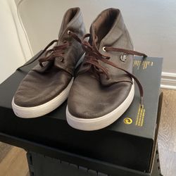 La coste Size 10”