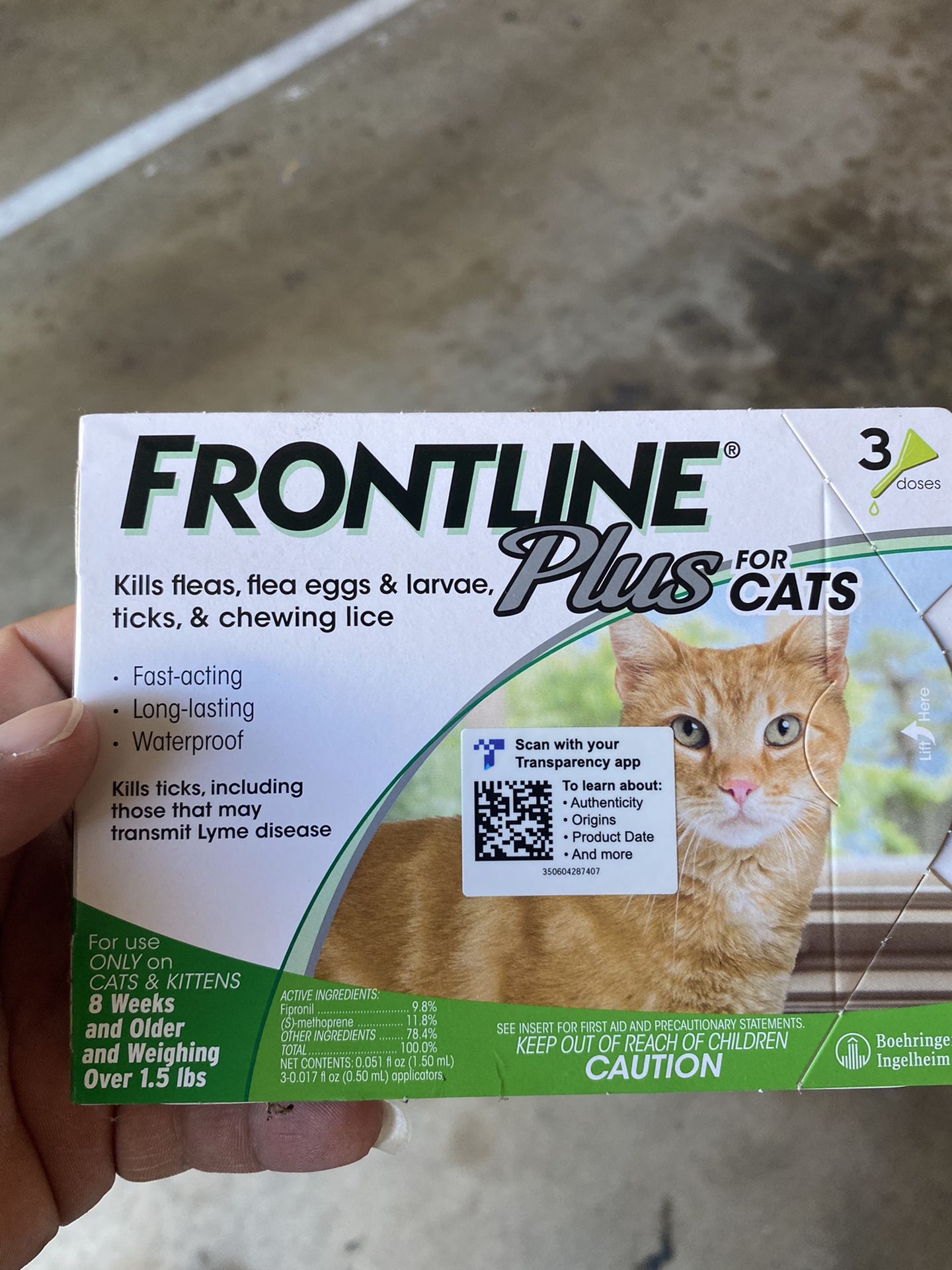 Cats