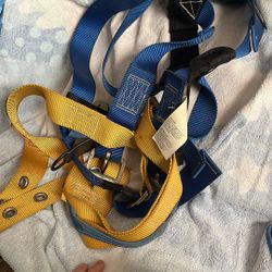 Harness 
