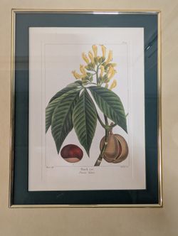 Bombay Gold Tone Framed Botanical Print with Yellow Flowers