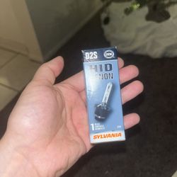 infinity G37 Headlight D2S Sylviana