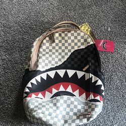 Sprayground & Coach Bag