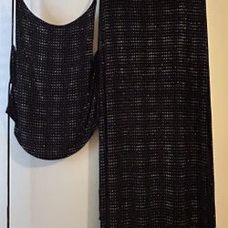 2 Piece Sparkly Skirt With Top.  