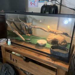 40 Gallon Reptile Tank