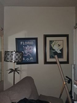 2 paintings with frames $30 or first best offer