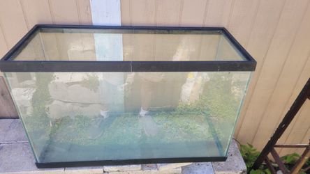 Fish Tank