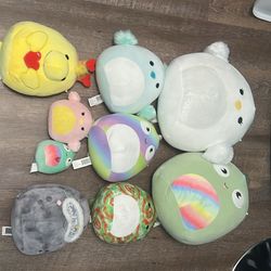 Squishmallow 