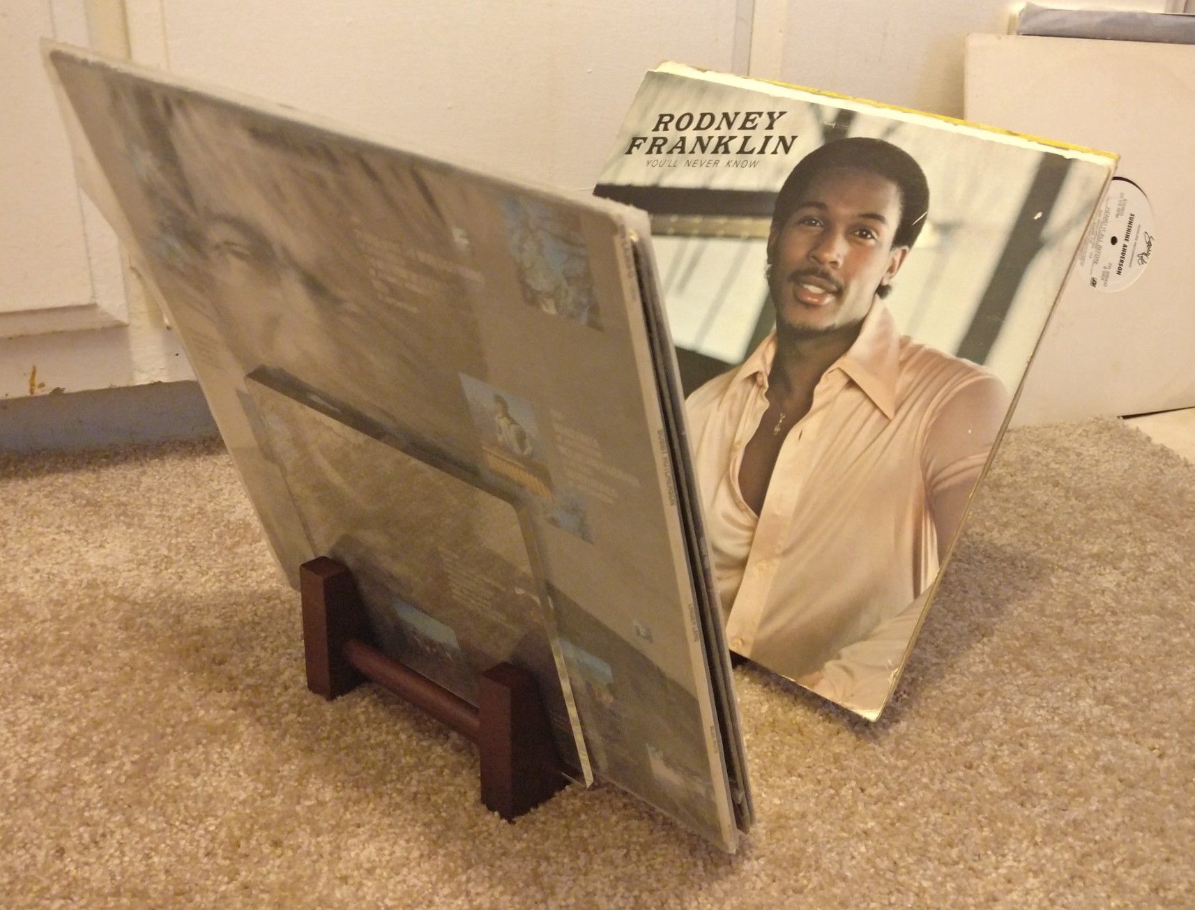 Record (Vinyl) Storage (Saki Joy Hard Bamboo Desktop Record Holder . Holds up to 30 Vinyl Records.