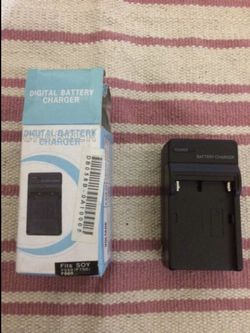 Video/ Digital Camera travel battery charger