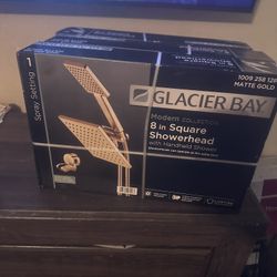 Gold 2 Piece Shower Head