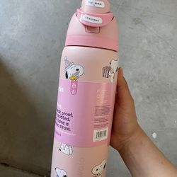 32oz Snoopy Owala 