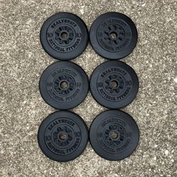 Standard 1" 10lb x6 weight plates weights plate 10 lb lbs 10lbs Cast Iron 60lbs Total for Dumbbell Dumbbells Barbell bar