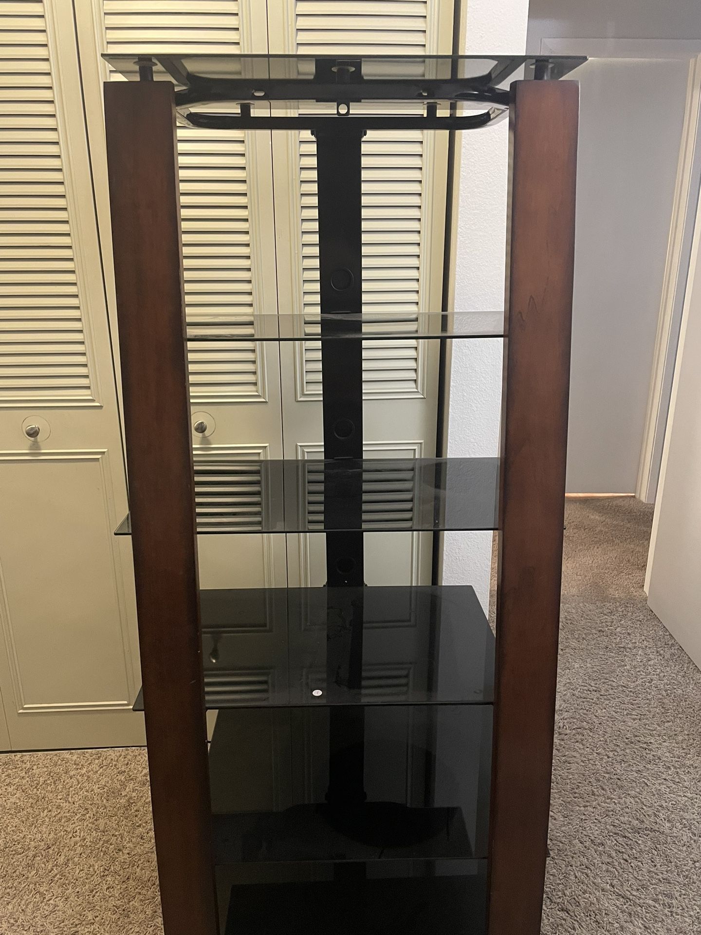 Glass and Wood Media Shelf