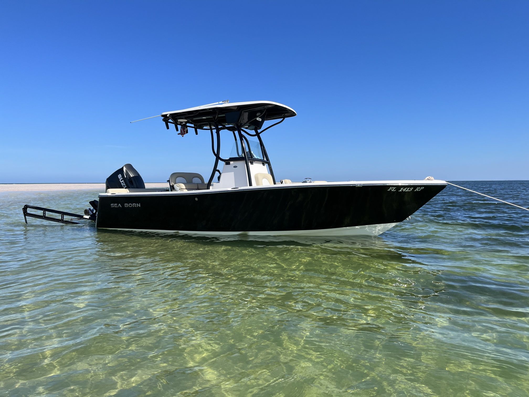 2018 Sea Born LX22 LE