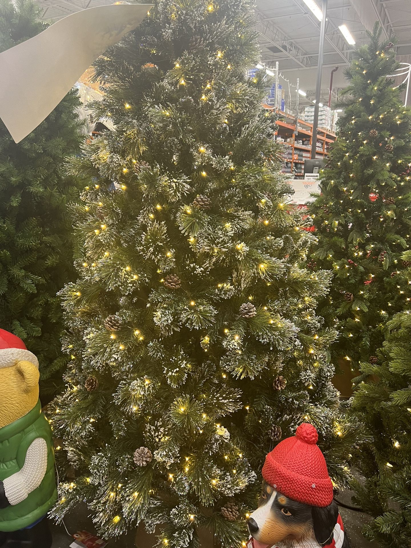 Christmas Tree 1 Years Old Used,All Products : American Fashion Style Bags On Sale