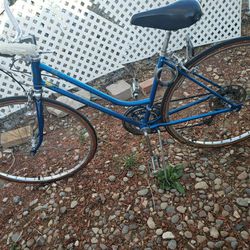 Blue Bike for sale