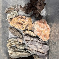 Dragon Stone And Aquascaping 