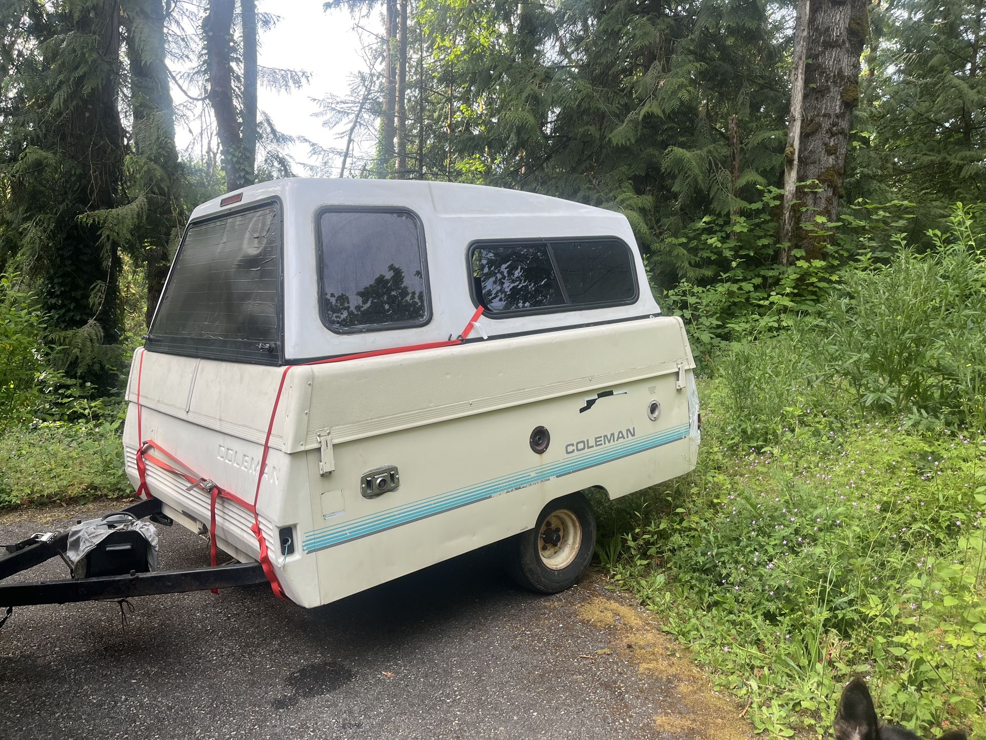 1990 Coleman Columbia