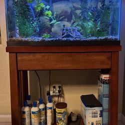 29 Gallon Fish Tank With Stand 