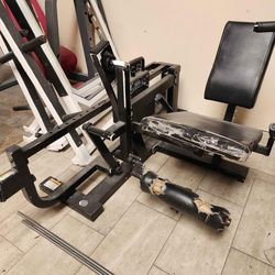 Paramount leg extension gym equipment exercise fitness weight machine