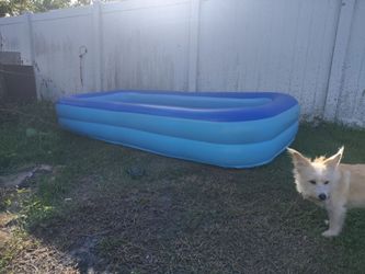 Pool new no leaks 10