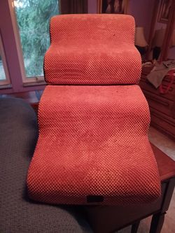 Pet steps