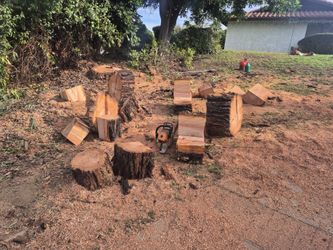 Free wood available Monday 5/10 curbside pick up