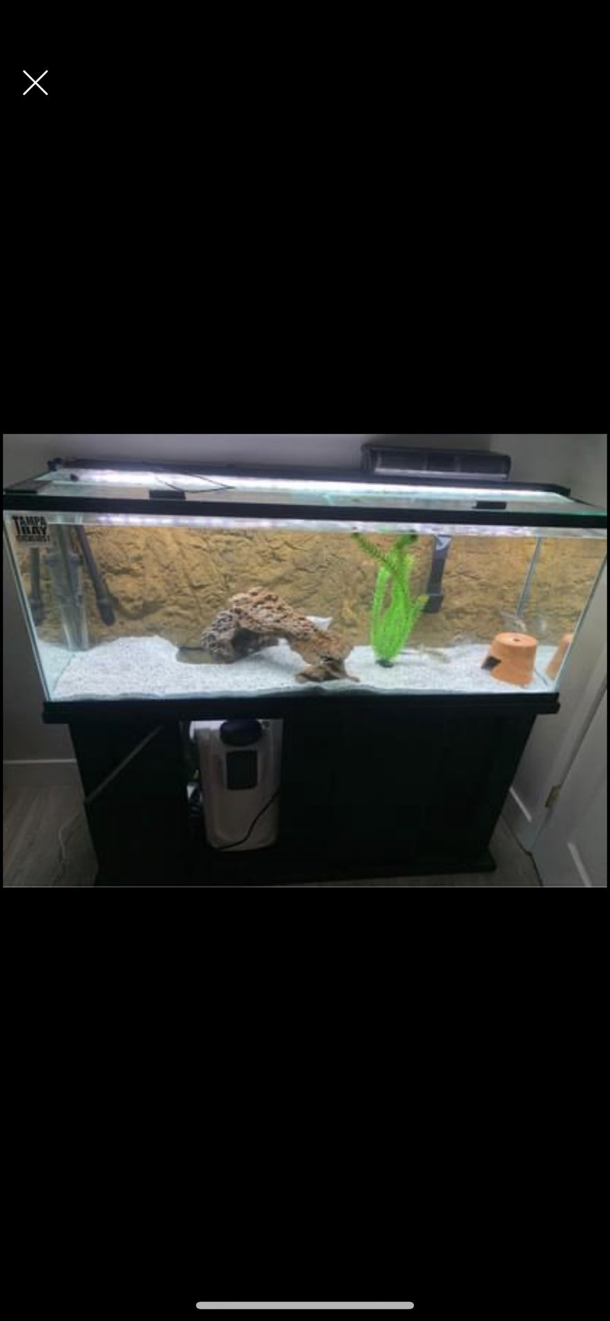 60 Gallon Aquarium