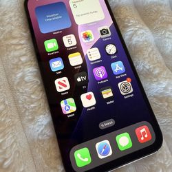 Damaged iPhone 13 Pro Max 256GB Unlocked