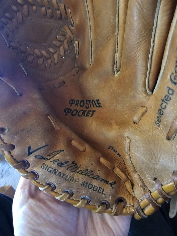 Ted Williams 1950s Sears Roebuck Vintage Baseball Glove Mitt