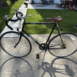 Raleigh Capri Road Bike For 5’10” & Taller Vintage road Bike
