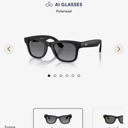 Meta Ray-Ban Wayfarer (GEN 2)